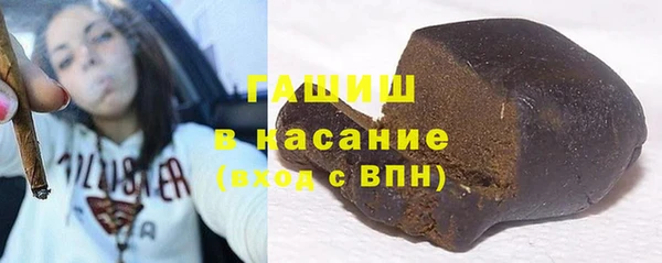 прущие грибы Горно-Алтайск