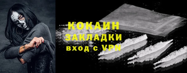 ГАЛЛЮЦИНОГЕННЫЕ ГРИБЫ Горняк