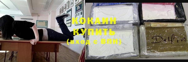 прущие грибы Горно-Алтайск