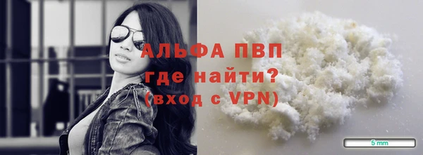 прущие грибы Горно-Алтайск