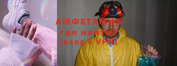 прущие грибы Горно-Алтайск