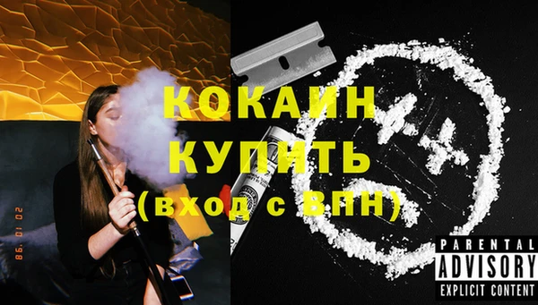 ГАЛЛЮЦИНОГЕННЫЕ ГРИБЫ Горняк