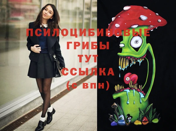 прущие грибы Горно-Алтайск