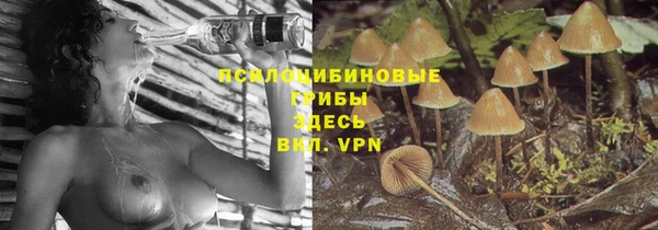 шишки Гусев