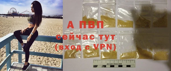 ГАЛЛЮЦИНОГЕННЫЕ ГРИБЫ Горняк