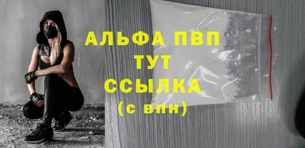 прущие грибы Горно-Алтайск