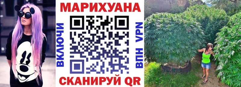 Шишки марихуана план  Купить где  Талдом 